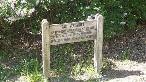 V. Mačernio atminimo vieta Šarnelėje