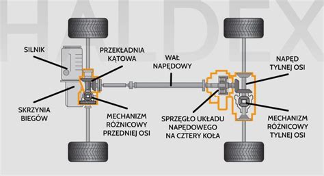 Infografika: Haldex sistema ir jos dalys