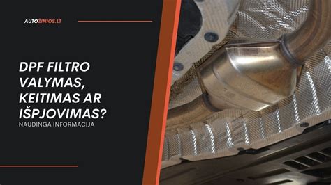 DPF filtro pjūvis su užsikimšimais ir valymo schema
