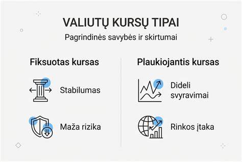 Infografika: vairavimo kursų struktūra ir skirtingi kursų tipai