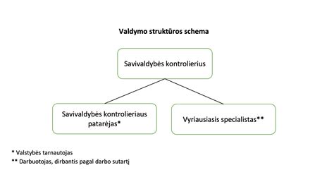 Informacinė schema apie slapukų ir pikselių žymų veikimą