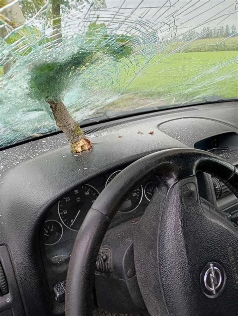 Paveikslėlis, iliustruojantis pažeistą automobilio priekinį stiklą su įtrūkimais ir įdaužomis