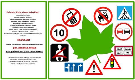 Pradedantysis vairuotojas su klevo lapu
