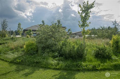 Miesto gatvės, apželdintos medžiais ir krūmais, mažinančios triukšmą