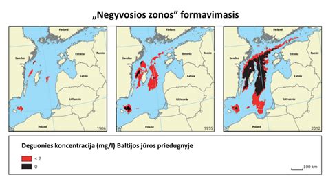 Žemėlapis, rodantis pagrindinius keltų maršrutus Baltijos jūroje