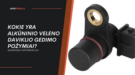 infografika: alkūninio veleno tepimo kanalai ir konstrukcinės jungtys
