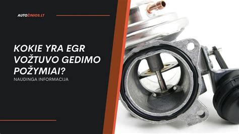 Variklio schema su EGR vožtuvu ir oro srautu