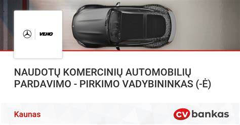 Infografika: naudotų automobilių pirkimo patarimai