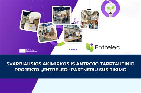 Infografika apie tarptautinio projekto finansavimą ir partnerius