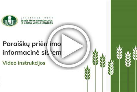 Diagrama, iliustruojanti paraiškos teikimo ir sprendimo priėmimo etapus