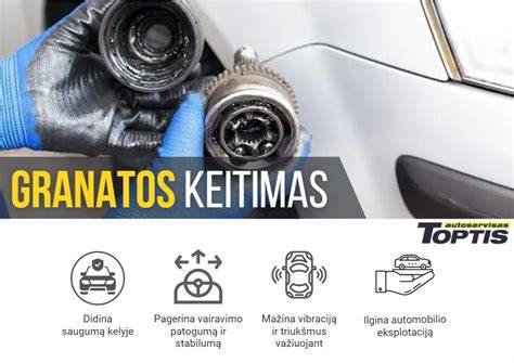 Infografika: pusašio granatos sandara ir apsaugos gumos funkcija