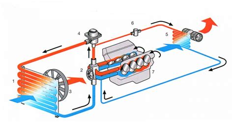 Mechanikas tikrinantis automobilio aušinimo sistemą