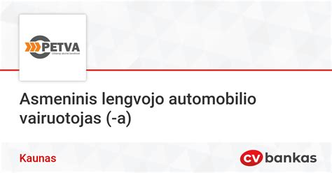 Vairuotojas valo automobilio langus