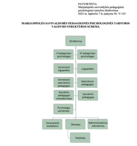 neįgaliųjų vežimėlio matmenų ir pritaikymo schema