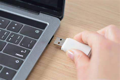 Plug-and-play pristatymo principas