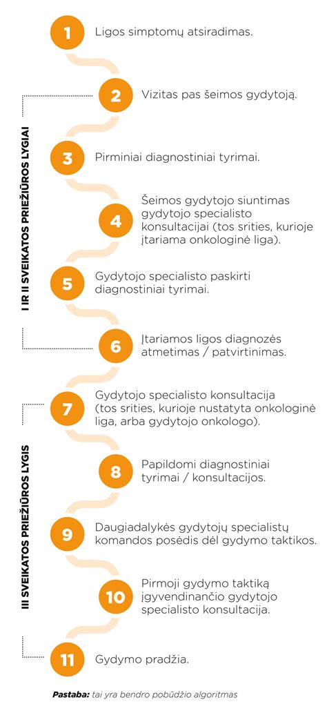 Diagramų schema: procesas nuo įtarimo iki nuosprendžio