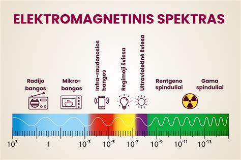 Infografika: sunkiojo transporto serviso paslaugų spektras