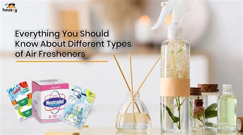 Infographic showing different types of car air fresheners and their placement