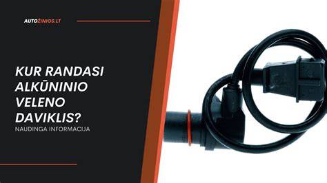 Infografika: Alkuninio veleno jonizacija ir daviklių vieta variklyje