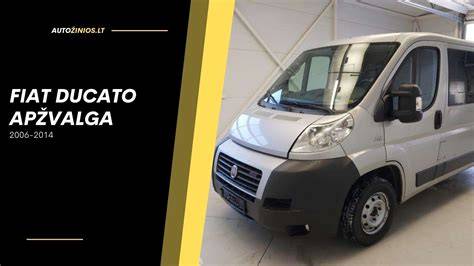 Infografika, lyginanti Fiat Ducato su pagrindiniais konkurentais