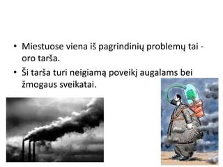 Infografika, iliustruojanti sauso ir drėgno oro poveikį organizmui