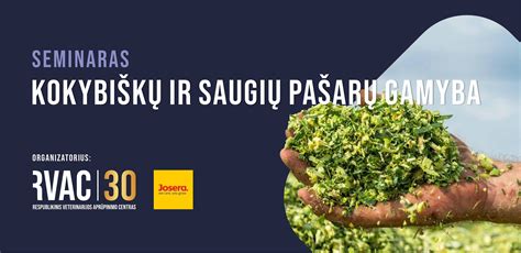 Infografika apie neštuvų gamybos procesą ir kokybės patikras