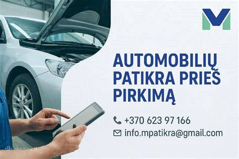Infografika: naudoto automobilio patikros veiksmai prieš pirkimą