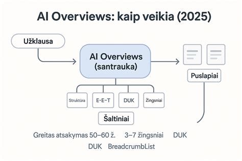 techninė schema, kaip veikia pikselių žymos