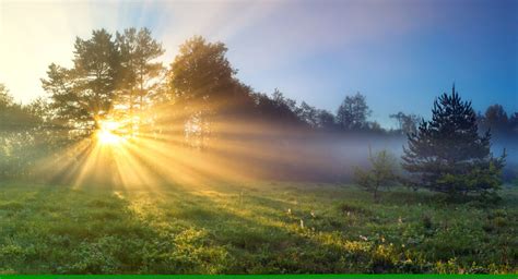 Palyginimas: originalių ir bi-ksenono lempų šviesos spindulys