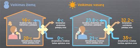 Infografika: E-maitinimo sistemos veikimo principas