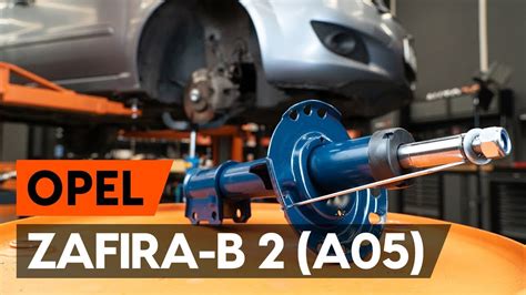 Infografika: Opel Signum priekinės pakabos išdėstymas ir pagrindiniai amortizatoriaus komponentai