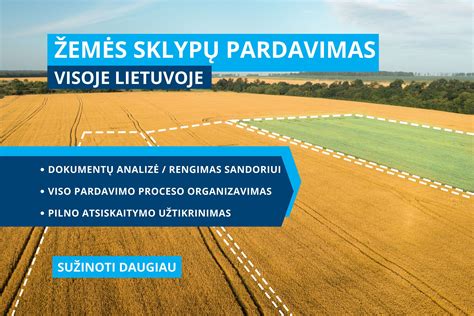 Vizualizacija, rodanti pagrindines nuomos sąlygas piktogramų forma
