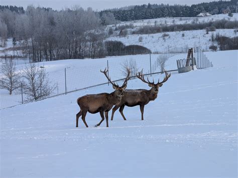 Vaizdas, simbolizuojantis kontrolės praradimą, galbūt mašina, lekianti be stabdžių