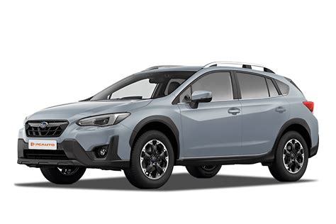 Tematinė nuotrauka su Subaru XV, kurio gale matomas valytuvas