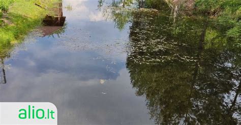 Teminė nuotrauka, vaizduojanti žvejus prie vandens telkinio