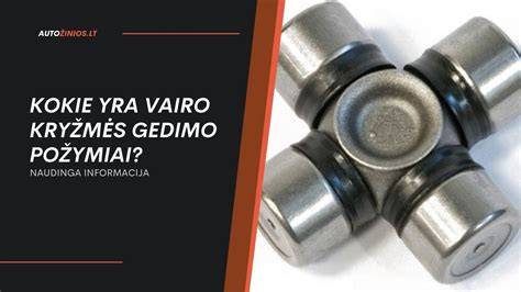 Vairo kryžmė ir vairo velenai schematiškai