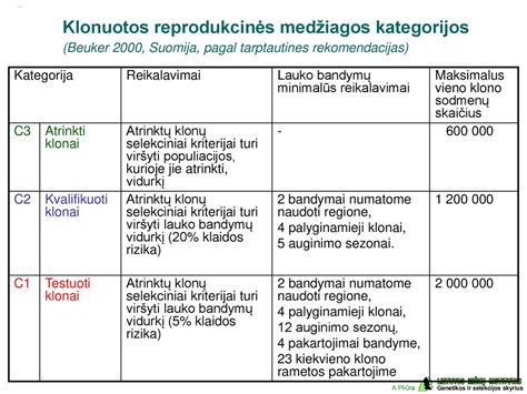 Infografika: C1 kategorijos reikalavimai