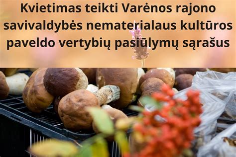 Infografika: rastų kultūros vertybių tvarkymo schema