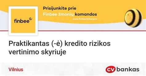 Infografika: įmonių vertinimo kriterijai (kredito rizika, pajamų dinamika, darbuotojų skaičius)