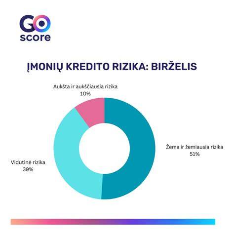 Grafikas: kredito rizikos įvertinimų skalė ir įmonių finansiniai rodikliai
