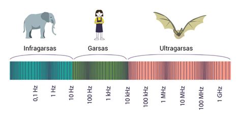 Infografika: ultragarso bangų dažnių palyginimas ir jų taikymo sritys