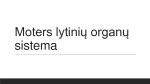 Moters vidinių lytinių organų schema