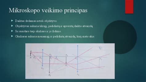 Infographics: transmisijos domkratų veikimo principas