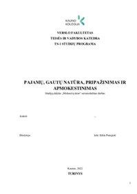 Schema: Pajamų natūra apskaičiavimas ir apmokestinimas