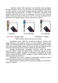 Dyzelinio variklio schemos iliustracija su pažymėtomis pagrindinėmis dalimis, susijusiomis su traukos praradimu