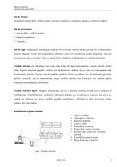 scheminis automobilio variklio tepimo sistemos pavaizdavimas