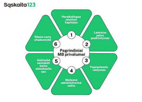 Diagrama: verslo pradinio kapitalo šaltiniai