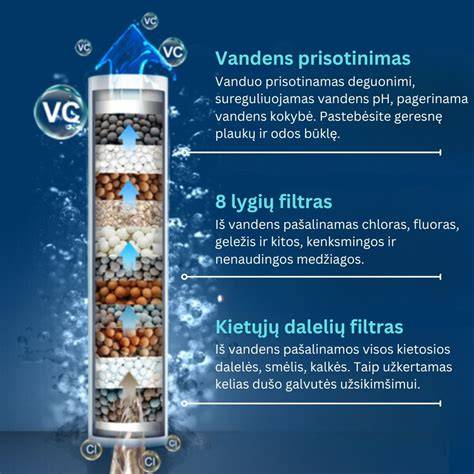 Tinkama dalies paieška su filtrų sistema