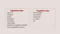 Infografika: Riebokšlio sandara ir veikimo principas