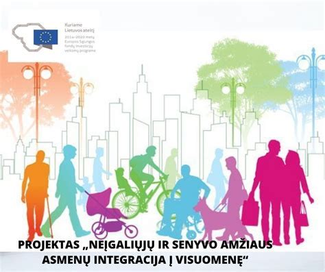 Infografika: neįgaliojo vežimėlio pritaikymo lygiai Lietuvoje
